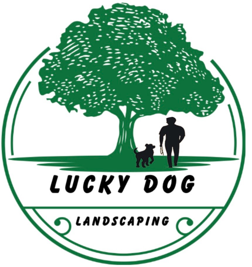 Lucky Dog Landscaping
